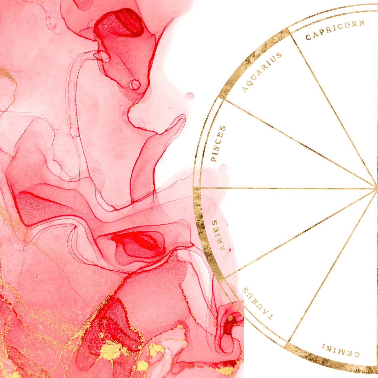 Astrology Chart Readings